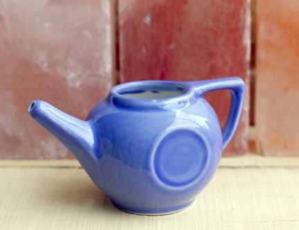 Buy a Neti Pot  for Allergy and Sinus  Relief  Sinus  Rinse 